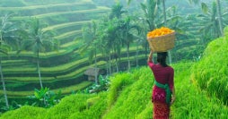 Exotic Islands & Enchanting Archipelagos