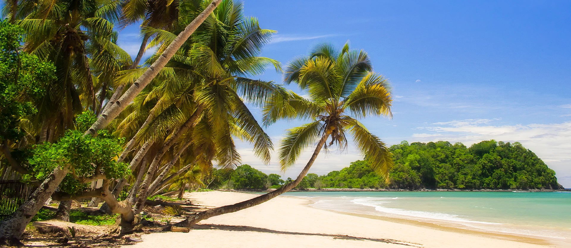 Abyssinia & Wild Paradise Islands