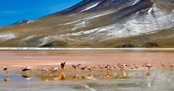 Chile 360: Santiago, Patagonia & Atacama