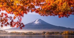 From Temples to Fuji: Japan’s Iconic Route