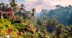 Two worlds, one journey: Japan & Bali