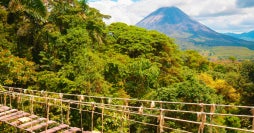 Pura vida: Arenal & Manuel Antonio